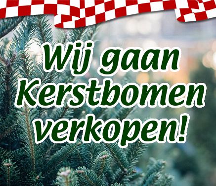 Nieuws_kerstbomen.jpg