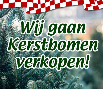 Nieuws-kerstbomen-1603806439.jpg