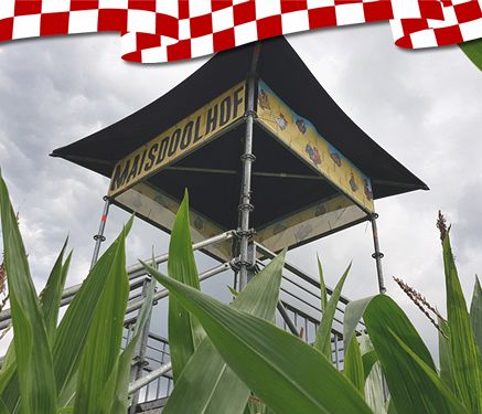 Website doolhof.jpg